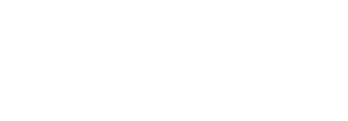 21 Shares